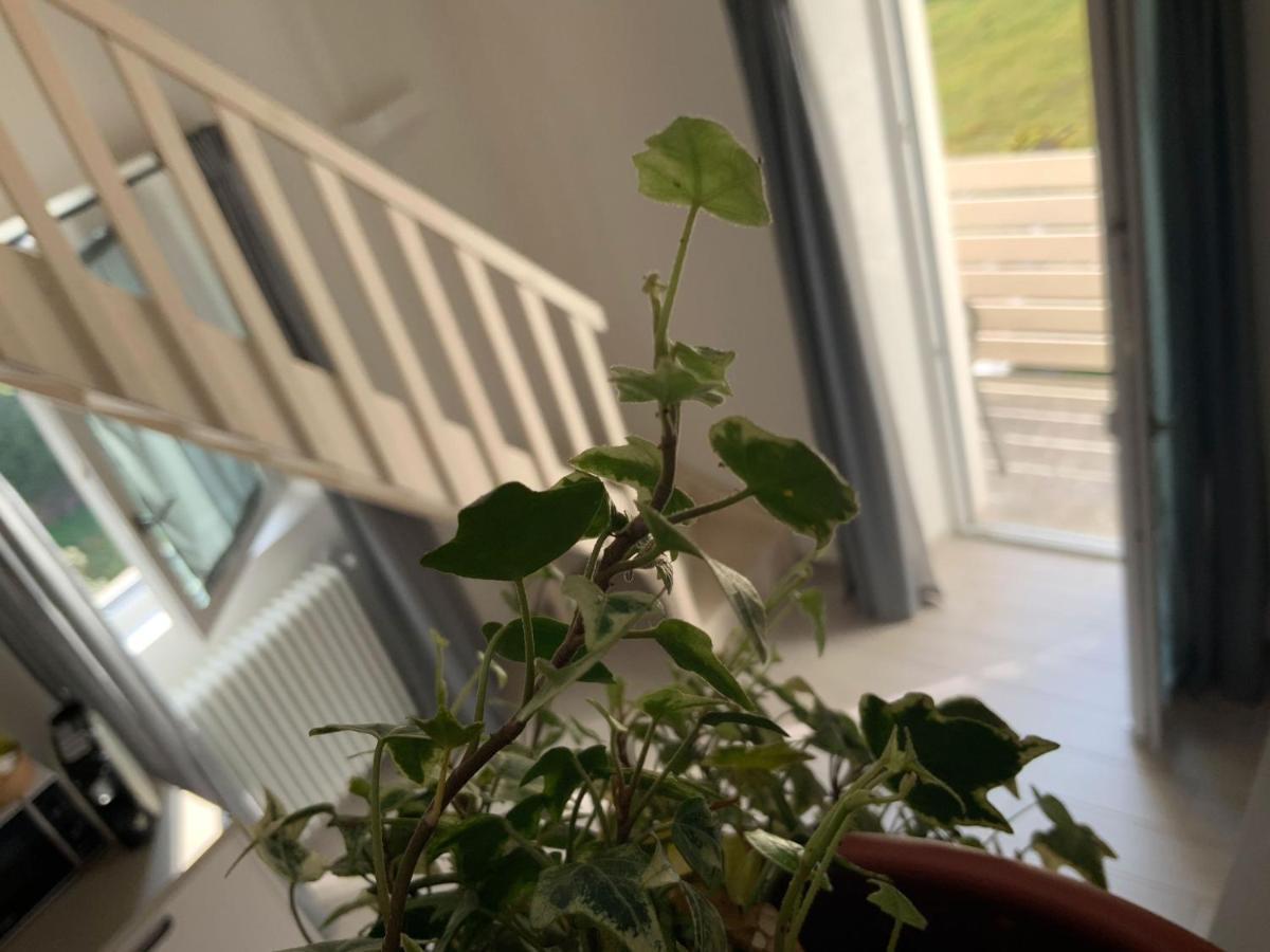 Villa Angela Prosto di Piuro Eksteriør bilde